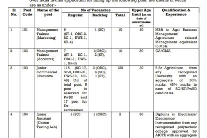 CCI Bharti 2025