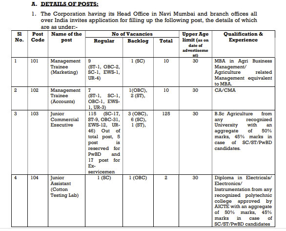 CCI Bharti 2025