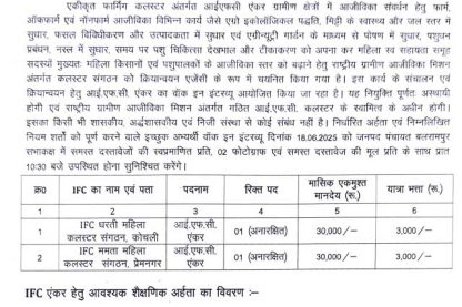 Feature image IFC Balrampur Anchor Vacancy 2025