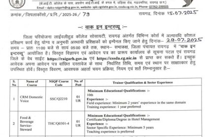 DPLC Raigarh Vacancy 2025
