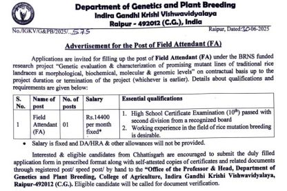Feature image DGPB Vacancy 2025