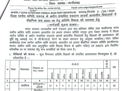 EMRS Raigarh Vacancy 2025